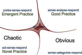 Utilizing the Cynefin Framework Within a Healthcare Setting