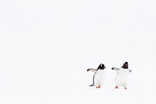 Counting Penguins From Space