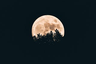 Moving Night