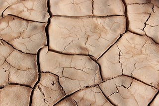 DRY LAND
