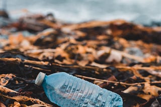 Single-use plastic bottle discarded on the ground
