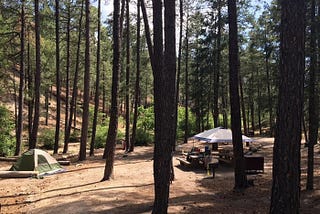 Nature Awareness While Camping