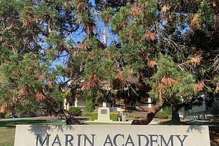 Growing Up at Marin Academy