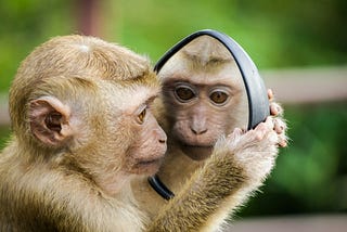 Resume Hack: The Mirroring Psychology