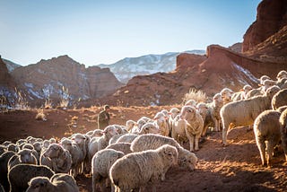 A Shepherd’s Prayer