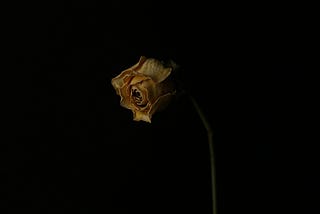 Letting Go of the Past: A Journey to Self-Trust
