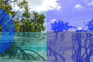 Let’s Be Clear About Carbon: Making an Impact on Oceans and Atmosphere