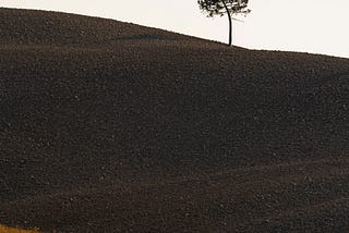How I Stopped to Fill the Silence