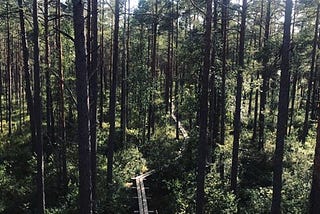 Estonia Impressions — Late Summer Beauty