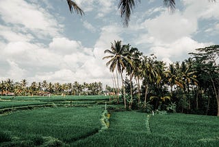 Ubud: Beyond Paradise Island