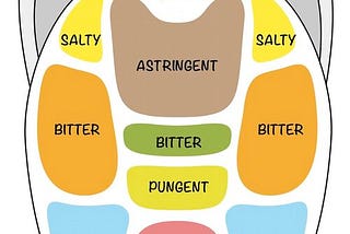 Tongue: Related Tastes and Organs