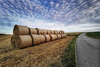 image of hay bales beside a road — as suggested by unsplash when I typed in role. why not