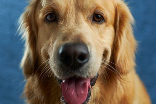 OP-ED: CAN WE GO OUTSIDE?