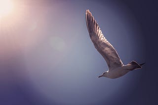 Crypto space is spreading the wings