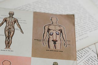 Your Body Is a House