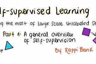 Self-supervised Learning: Making the most of Large Scale Unlabelled Data
