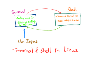 The Linux Command Line Experience