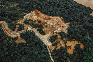 Comment les Observateurs Indépendants des Forêts peuvent optimiser leur contribution au RDUE