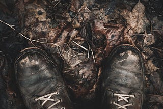 Letting Go of the Need to Prove