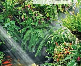 Tropical Gardens of the Philippines | Cover Image
