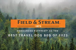 The Best Outdoor Dog Bed, According to Field & Stream