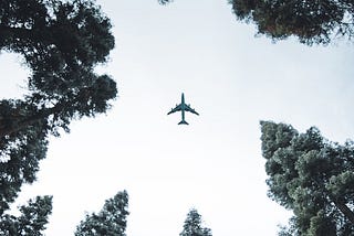 Sky-High Insights: Aviation’s Guide to a Million Dollar Mindset