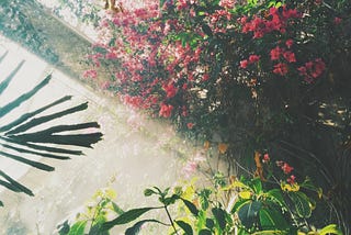 The Afterscent