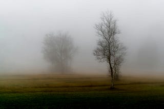 Melancholia