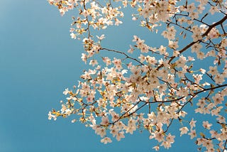 A March Summary from Fearless She Wrote