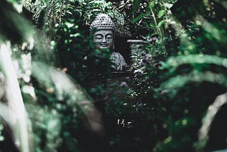 Buddhism Can Soothe Eco-Anxiety. But Beware its Cults.