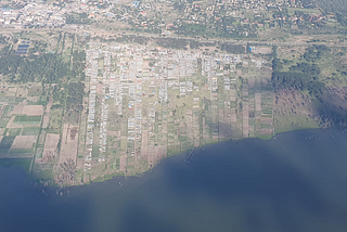 Lake Naivasha: How wanton encroachment is threatening Kenya’s most important wetland