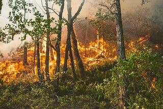 Does Fire Management Benefit Low-Income Communities?