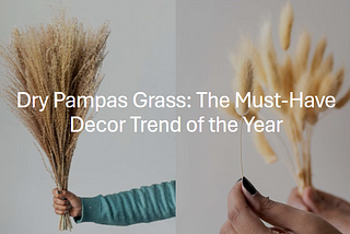 Dry Pampas Grass: The Must-Have Decor Trend of the Year