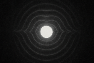 Light Is What Remains