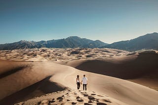 Part 4-What to seek first