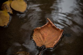 Words in Water: A Poem
