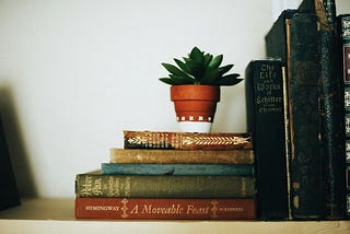 Picture of books on a shelf with a small potted plant.