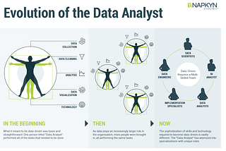 Roles and Responsibilities of a Data Analyst in a Modern Data Team