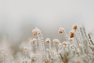 Two Lessons of Alchemy