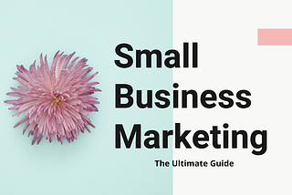 Small Business Marketing: The Ultimate 2020 Guide (even with little to no money)