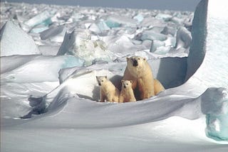 The Willow Project: A carbon bomb aimed at the Western Arctic