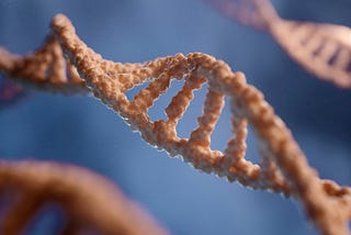 Learning AlphaGenome for biomedical tool development