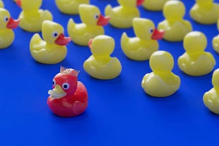 A group of yellow rubber ducks face a similar direction while a red rubber duck with a little gold crown faces the opposite direction all alone. The rubber ducks are all placed on a royal blue tablecloth, with the photo taken from a slanted angle in the upper righthand direction.