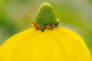 Apache Ant Cheatsheet