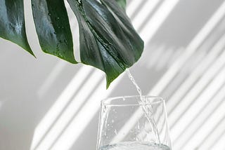 The Role of Hydration in Maintaining Energy Levels