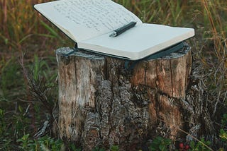 Photo of journal open to a poem with a pen resting on it on a tree stump in a field.
