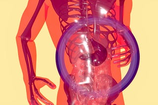 How Your Microbiome Shapes Your Health