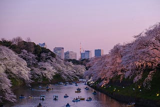 Mindfulness Lessons From the 72 Micro-Seasons Of Japan