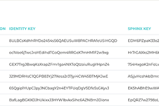 Nym Incentivized Testnet and Reputation System