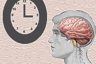 Time and Its Perception in the Human Brain